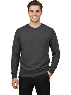Raymons Erkek Sıfır Yaka Petek Doku Regular Fit Sweatshirt BGL-ST04950