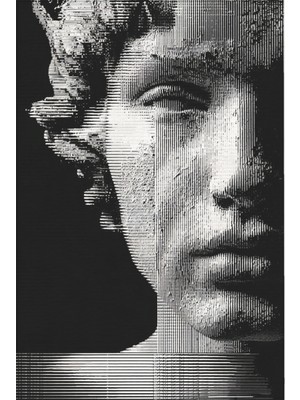 Allure 101 Siyah Beyaz Yüz Tasarım Halı Yıkanabilir Halı Ince Kilim Halı Oturma Odası Salon Halısı