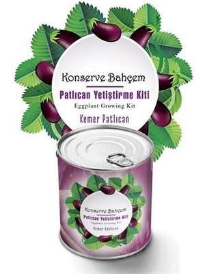 Buffer® Konserve Bahçem Evde Konservede  Kemer Patlıcanyetiştirme Kiti