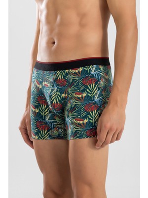 Baykar Erkek Desenli Likralı Pamuklu Desenli Boxer 1414 Yeşil