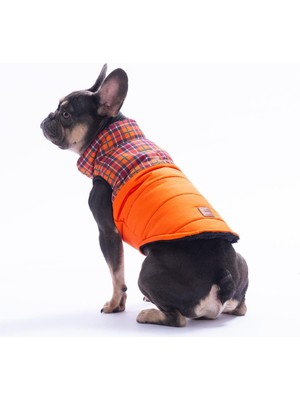 Pawstar Turuncu Elgin Paws Ekose Desen Yelek Köpek Yeleği Köpek Kıyafeti Köpek Yağmurluk
