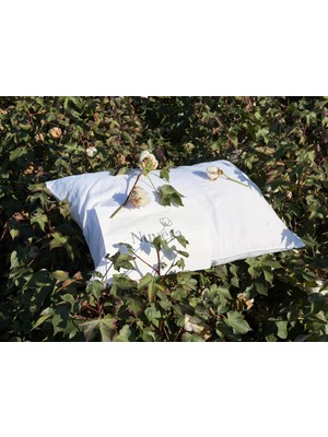 Doğal Pamuk Yastık Yetişkin