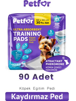 Petfor Köpek Eğitim Pedi 60X90 90 Adet Kaydırmaz Bantlı