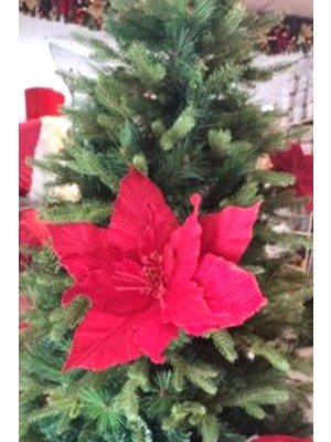 Canlı Kırmızı Ponsetya Çiçeği ve Noel Yıldızı Süsü Dekoru