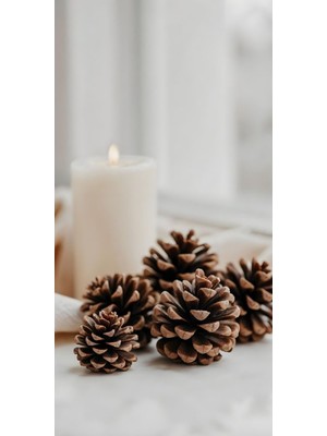 Ekru Yılbaşı Kozalak Süsü, 6'lı Noel Ağacı Süsleri, Şık ve Doğal Dekorasyon.