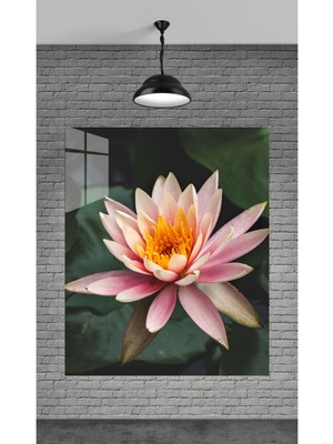 Marsilyan Muhteşem Pembe Çiçek Görseli Temperli Cam Üzerine Tablo Sevgilinize Yılbaşı Hediye