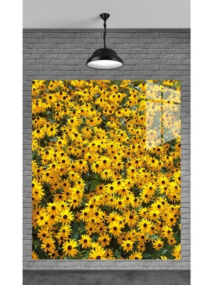 Marsilyan Sarı Papatyalar Temperli Cam Üzerine Tablo Sevgilinize Yılbaşı Hediye