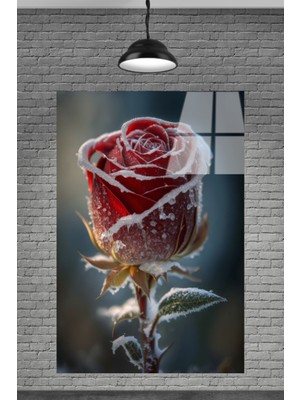 Marsilyan Donmuş Kırmızı Gül Cam Tablo