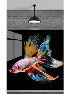 Marsilyan Renkli Siyah Balık Temperli Cam Üzerine Sevgilinize Yılbaşı Hediye