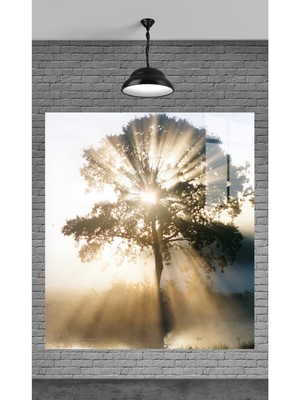 Marsilyan Muhteşem Ağaç ve Güneş Temperli Cam Üzerine Tablo Sevgilinize Yılbaşı Hediye