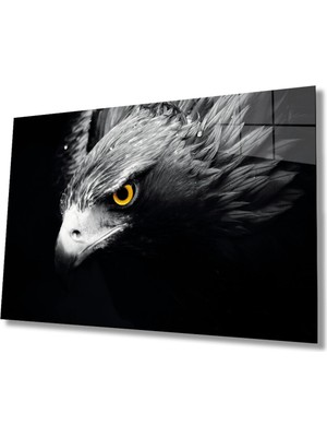 Kartal 4 Hayvan Cam Tablo