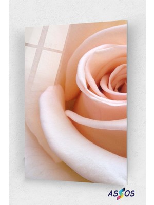 Uçuk Pembe Gül Cam Tablo, Şeffaf Damarlı Yarım Çiçek Doğa Tabloları Doğal Renkli Ev Duvar Dekorasyon