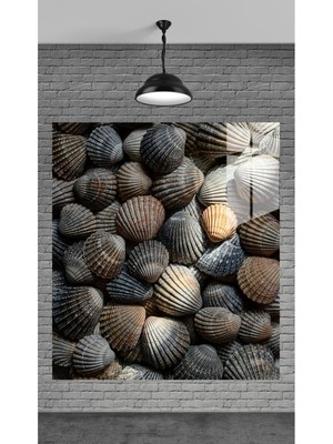 Marsilyan Muhteşem Istiridye Kabukları Temperli Cam Üzerine Tablo Sevgilinize Yılbaşı Hediye