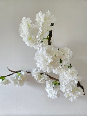 Decoroon El Yapımı Beyaz Çiçekli Sakura Dalı Duvar Dekoru – Doğal Ağaç Gövdesi Çiçek Tasarımı
