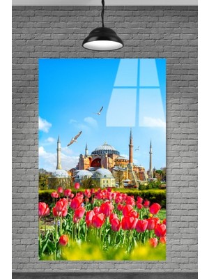 Marsilyan  Güller Içinde Ayasofya Camii Cam Tablosu