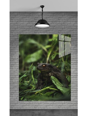 Marsilyan Kurbağa Resmi Temperli Cam Üzerine Tablo Sevgilinize Yılbaşı Hediye