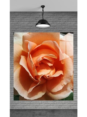 Marsilyan Muhteşem Turuncu Gül Temperli Cam Üzerine Tablo Sevgilinize Yılbaşı Hediye