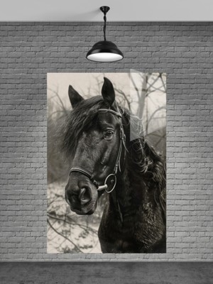 Marsilyan Siyah At ve Cam Tablo Ev Dekorasyon,balkon Dekorasyonu,dekoratif,duvar Tablo,mutfak Tablo