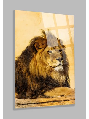 Asil Aslan 4mm Lüks Kırılmaz Temperli Yüksek Çözünürlüklü Cam Tablo