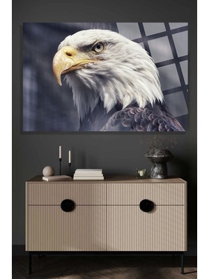 Görkemli Kartal 4mm Lüks Kırılmaz Temperli Yüksek Çözünürlüklü Cam Tablo