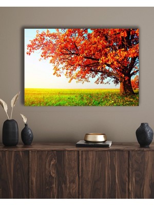 Kapadokya Uçan Balonlar