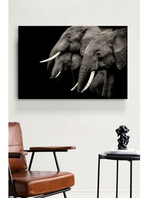 Marsilyan Filler Cam Tablo, Dekoratif Cam Tablo