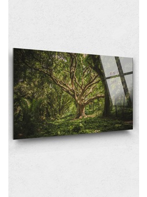 Yeşil Dev Ağaç Cam Tablo, Duvar Dekor, Büyük Tablo, Cam Duvar Tablo, Doğa Tabloları