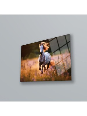 Marsilyan At Modern Cam Tablo , Oturma Odası Duvar Dekoru , Salon Duvar Tablosu , Panoramik Duvar Dekoru