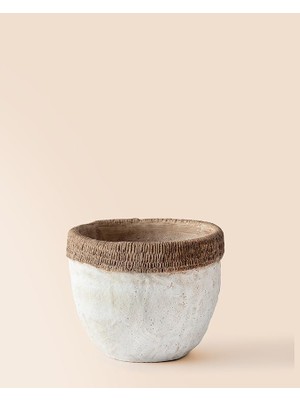 Coco Valerie Saksı - M