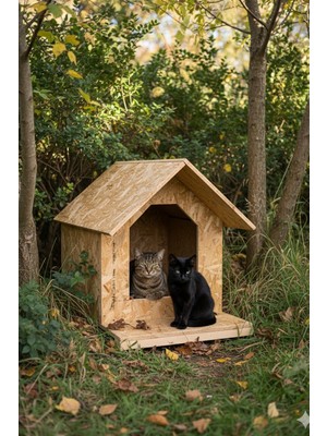 Reyo Kedi Evi Dış Ortam Uygun Ahşap Kedi Evi Osb 45X40X40 cm - CAT20