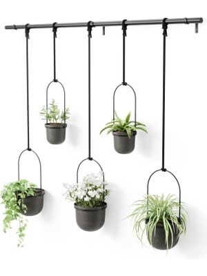 Storemax Triflora, Asma Çiçek Saksısı, Duvar, Duvar ve Tavan Montajı Için Çiçek Askısı, 5'li Set, Siyah