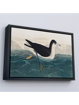 Oxyteez Ahşap Çerçeveli Robert Havell, John James Audubon Esmer Kuş TABLOSU-7034