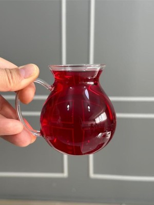 Storemax 6'lı Keyfi Ala Borosilikat Cam Kulplu Çay Bardağı