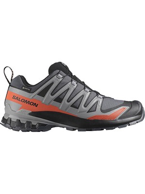 Salomon Xa Pro 3D V9 Gore-Tex Erkek Outdoor Ayakkabısı L47817500 Renkli