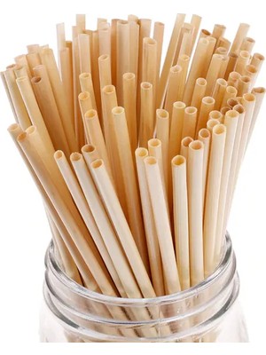 10 Adet Buğday Sapı PIPET-20CM