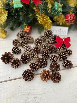 Empressco Kahverengi Kozalak Dekoratif 10 Adet Mini Kış Süsü, Doğal Çam Kozalağı Seti