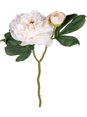 Storemax Gül Tomurcuklu Beyaz 50 Cm.