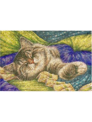 Storemax Tasarımlı Dekoratif Kapı Önü Paspas, Dış Mekan/ev Içi/ /mutfak/yatak Odası/giriş Paspasları (Pastel Cat, 45X70)