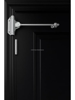 Storemax Mekanik Itme Yayı, ISO9001 Belgeli, Yüksek Dayanımlı, Yaylı Kapı Kapatıcı, Hız Ayarı Olmayan, Çelik Gövdeli, Kapı Hidrolik Sistemli Yavaşlatıcı, 2 Yıl Üretici Garantili