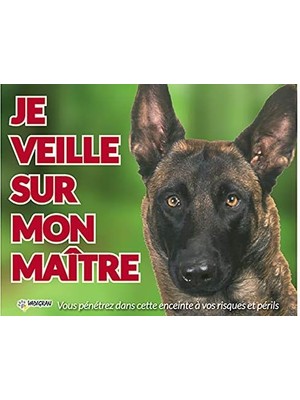 Storemax Vadigran Malinois Köpek Fotoğraf Tabelası
