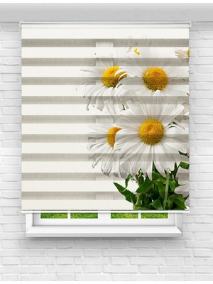 MAS Çiçeklerle Bezenmiş Nazik Papatya Baskılı Zebra Perde