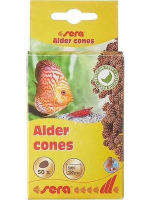 AyrStore Kızılağaç Kozalağı 50 Adet