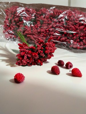 Empressco Kırmızı Pıtırcık Yılbaşı Süsleme Tohumu 144'LÜ Paket