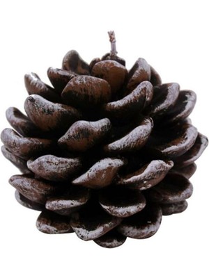 Empressco Beyaz Kozalak Mum, 8 Cm, Yılbaşı ve Çam Ağacı Süslemeleri Için Şık Tasarım