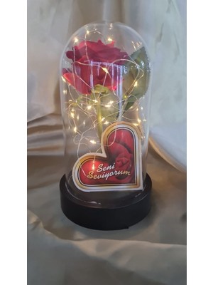 Empressco Renkli Ledli Fanus, Sevgiliye Yılbaşı Hediyesi, Şık ve Işıltılı Dekorasyon Parçası