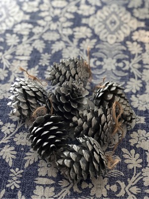 Empressco 12 Adet Kozalak Süs, Gold Gümüş, Yılbaşı Çam Ağacı Dekorasyonu