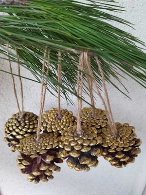 Empressco 6'lı Kozalak Yılbaşı Ağacı Süsü Seti, Parlak ve Şık Dekorasyon Malzemeleri