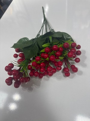 Empressco Kokina Yedi Dal Kırmızı Renkli Doğal ve Şık Tasarım Hediye Seçeneği