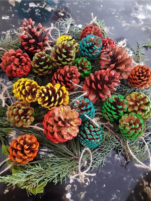 Empressco Renkli Kozalak Süsler, Çam Ağacı Için 6 Adet, Yılbaşı Dekorasyonu