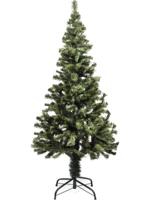 Empressco Yeşil 60 cm Kabarık Dal Yılbaşı Çam Ağacı, Doğal ve Şık Dekorasyon Için Ideal